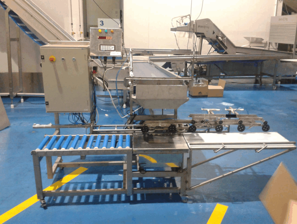 maquina de limpieza de calamar automatizada